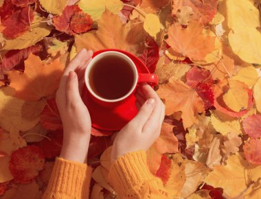 arka plan sonbahar yaprakları üzerinde elinde fincan kırmızı
