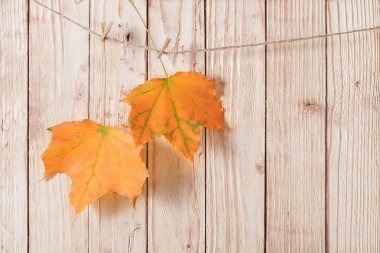 Ahşap arkaplanda sonbahar yaprakları