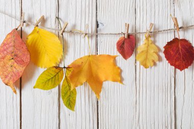 Ahşap arkaplanda sonbahar yaprakları