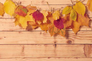 Ahşap arkaplanda sonbahar yaprakları
