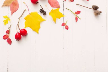 Kırmızı berriaes ve Beyaz ahşap zemin üzerinde sonbahar yaprakları