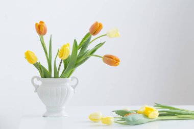 Beyaz arkaplanda sarı laleler