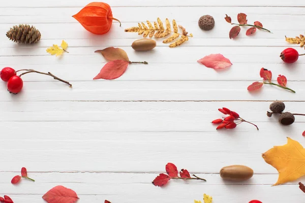 Red Berriaes Autumn Leaves White Wooden Background — Stock Photo, Image