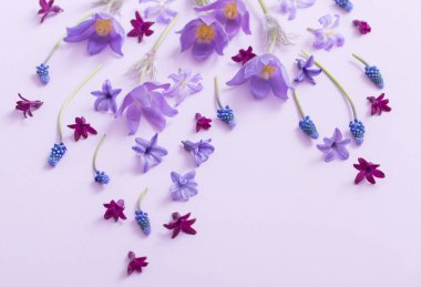 Kağıt arka plan bahar çiçekleri