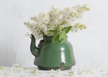 Eski çaydanlık beyaz arka plan üzerinde beyaz leylak