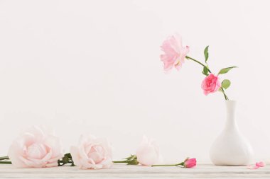 Beyaz arkaplanda pembe güller