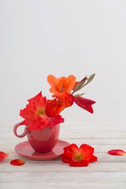 Kupası beyaz zemin üzerine kırmızı çiçekler