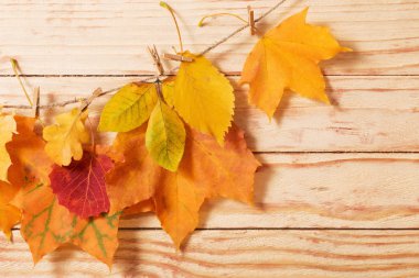 Ahşap arkaplanda sonbahar yaprakları