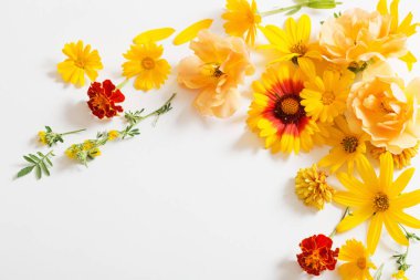 Beyaz arkaplanda sarı ve turuncu çiçekler