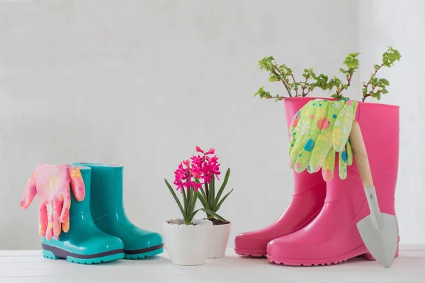 rubber boots and spring flowers on white background