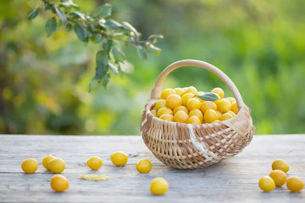 Gelbe Pflaume Korb Auf Holztisch Freien — Stockfoto