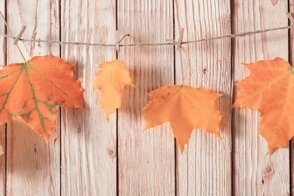 Colour Autumn Leaves Wooden Background — Stock Photo, Image