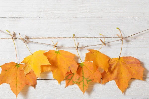 Colour Autumn Leaves Wooden Background — Stock Photo, Image