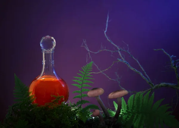 魔法红色药水瓶在森林里 — 图库照片
