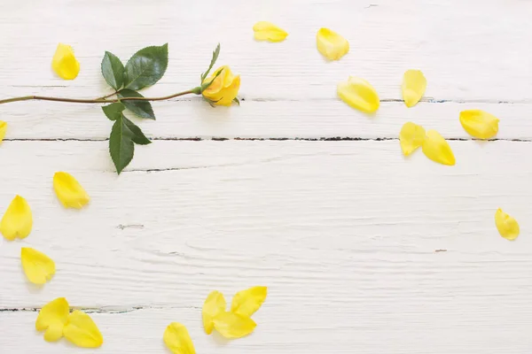 Rosas Amarillas Sobre Fondo Madera Blanco —  Fotos de Stock