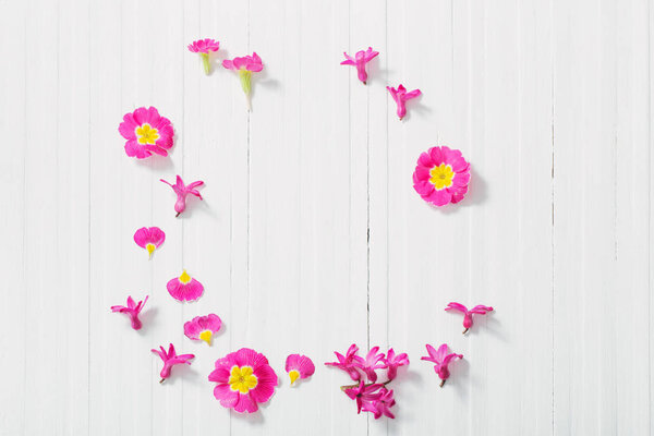 pink spring flowers on white wooden background