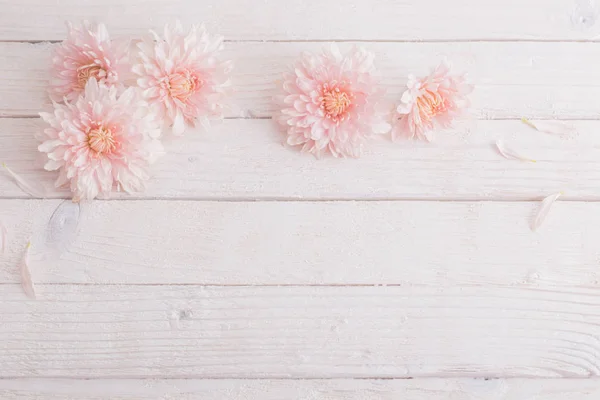 Chrysanthème Sur Fond Blanc Bois — Photo