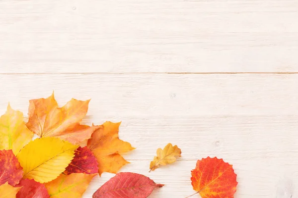 Autumn Leaves White Wooden Background — Stock Photo, Image
