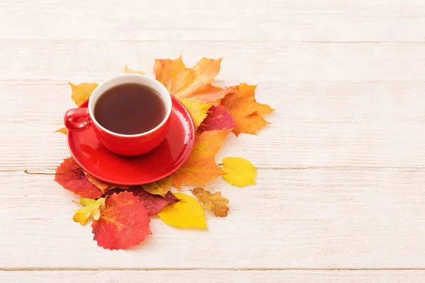 Chá Copo Vermelho Com Folhas Outono Mesa Madeira Branca — Fotografia de Stock