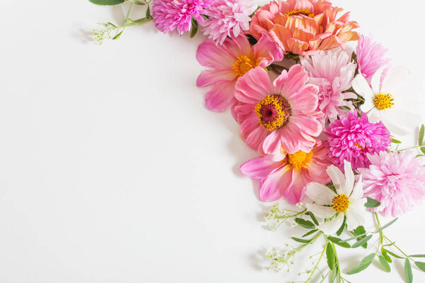 Красивые розовые цветы на белом фоне