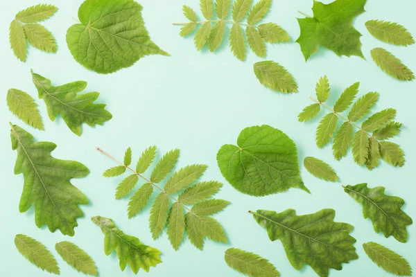 Groene Bladeren Papieren Ondergrond — Stockfoto