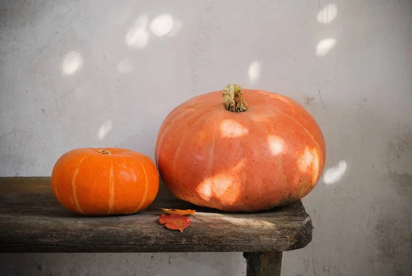 Citrouilles Orange Sur Banc Bois Sur Fond Vieux Mur — Photo