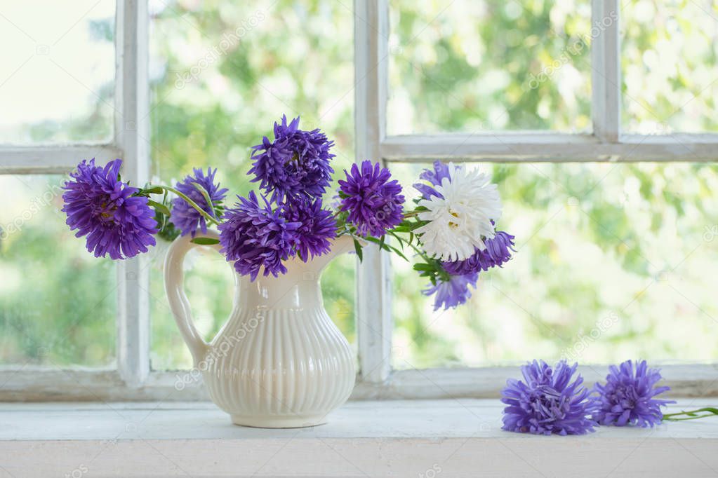 beautiful purple asters in  jug on  windowsill