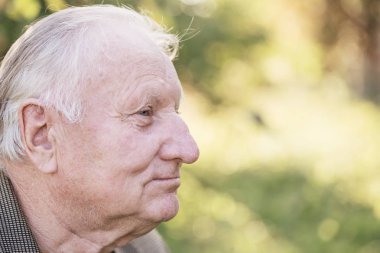 güneşli parkta yaşlı adam portresi