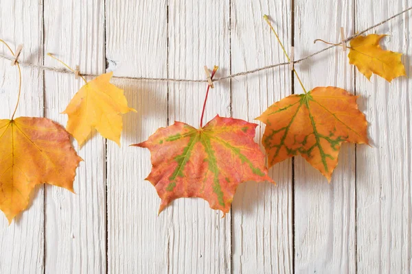 Colour Autumn Leaves Wooden Background — Stock Photo, Image