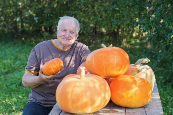 Oudere Mannen Met Oranje Pumpinks Buiten — Stockfoto