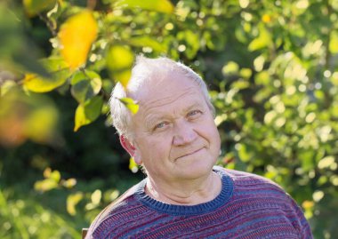 Güneşli sonbahar parkta yaşlı adam portresi