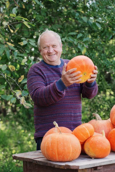 オレンジ Pumpinks 屋外の高齢男性 — ストック写真