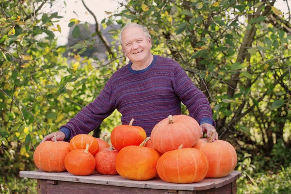 Oudere Mannen Met Oranje Pumpinks Buiten — Stockfoto