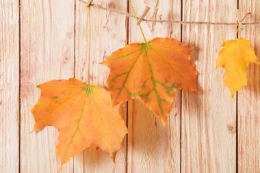 Ahşap arkaplanda sonbahar yaprakları