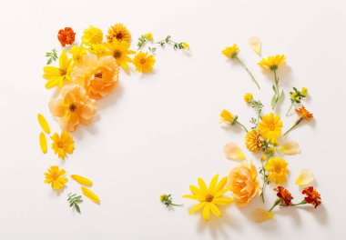 Beyaz arkaplanda sarı ve turuncu çiçekler