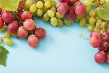 mavi Kağıt arka plan üzerinde üzüm