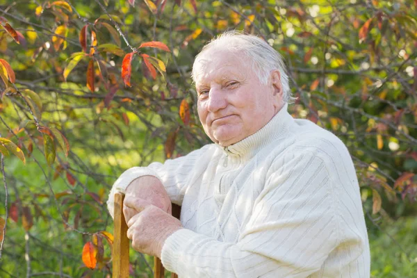Портрет Пожилого Человека Солнечном Парке — стоковое фото