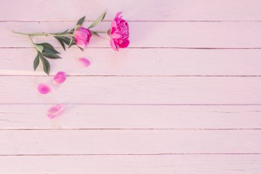 Ahşap arka planda pembe şakayıklar