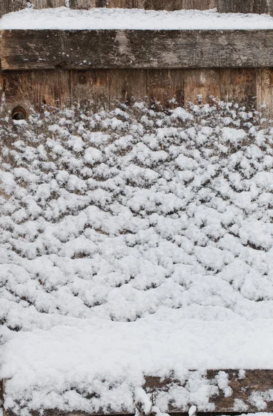雪のある古い木の背景 — ストック写真