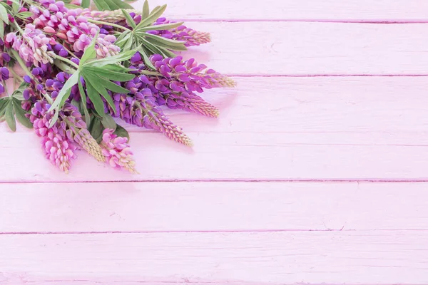 Altramuz Sobre Fondo Madera Rosa —  Fotos de Stock