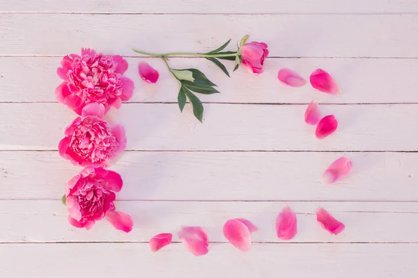 Peonías Rosadas Sobre Fondo Madera — Foto de Stock