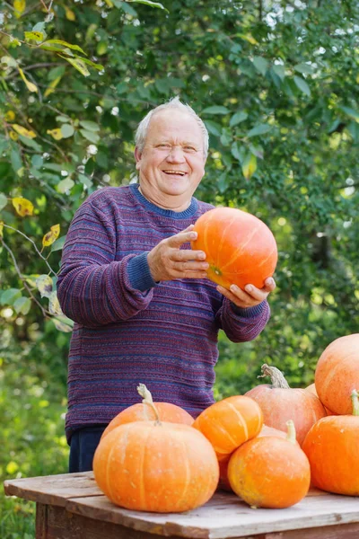 Elderly Men Orange Pumpinks Outdoor — Stock Photo, Image