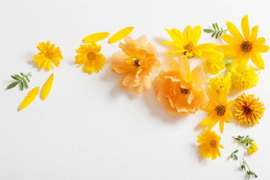 Beyaz arkaplanda sarı ve turuncu çiçekler