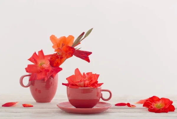 Rote Blumen Tasse Auf Weißem Hintergrund — Stockfoto