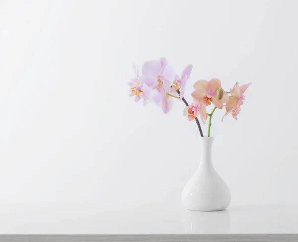 Hermosas Orquídeas Jarrón Blanco Sobre Mesa Blanca —  Fotos de Stock