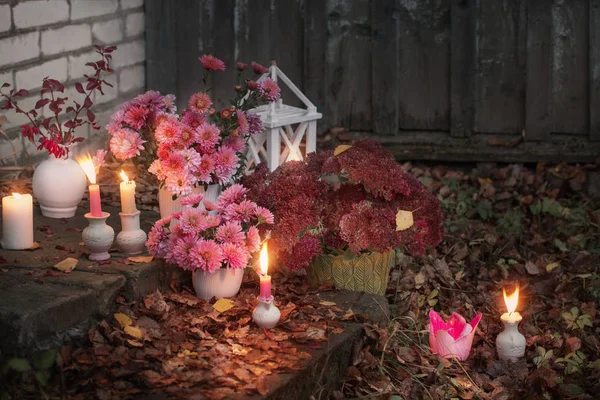 Pink Chrysanthemums Burning Candles Autumn Garden — Stock Photo, Image