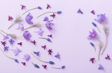 Kağıt arka plan bahar çiçekleri