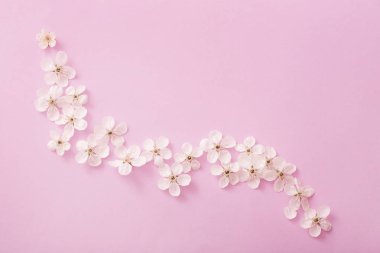 Kağıt arka plan üzerinde kiraz çiçekleri