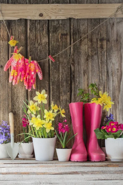 Rubber Boots Spring Flowers Wooden Background — Stock Photo, Image