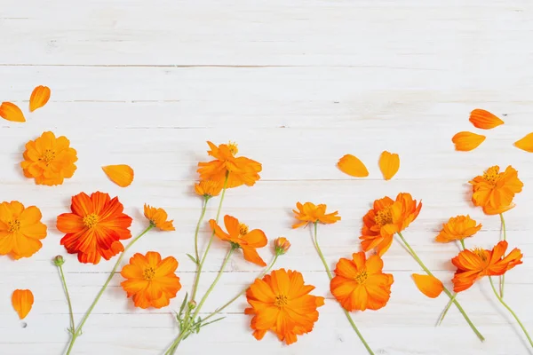 Orange Sommerblumen Auf Weißem Holzhintergrund — Stockfoto